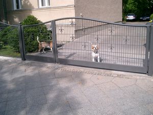 Doppelstabgitterzaun DSM10.2